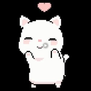 Meet your Posher, Molly